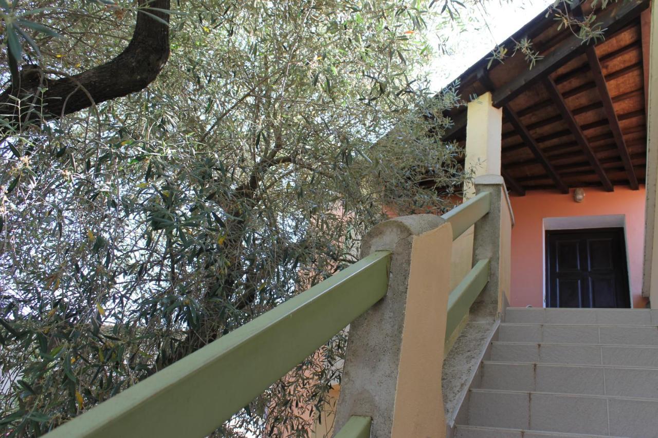 Domaine Le Clos Des Oliviers Sorbo-Ocagnano Exterior foto